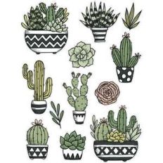 cactus and succulent stickers