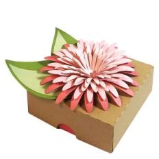 flower box
