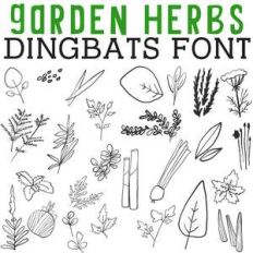 cg garden herbs dingbats