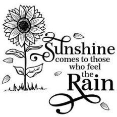 sunshine comes to those who feel the rain sunflower