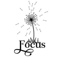 focus dandelion