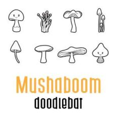 mushaboom doodlebat