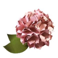 hydrangeas 3d