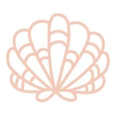 seashell