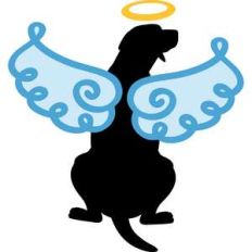 angel dog