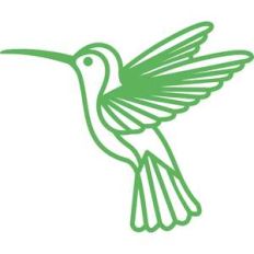 hummingbird