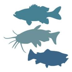 fish silhouettes