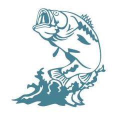 bass fish jumping