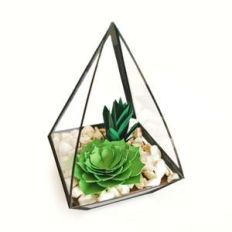 3d terrarium