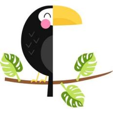 toucan