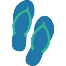 flip flops