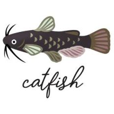 catfish fish