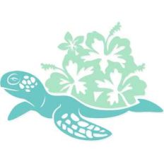 sea turtle hibiscus