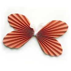 butterfly fan wings