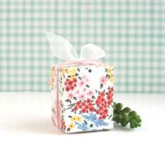 rounded flap box