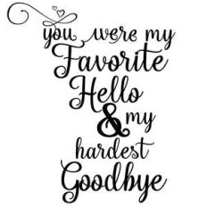 you were my favorite hello and my hardest goodbye