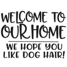 welcome to our home we hope you like dog hair!