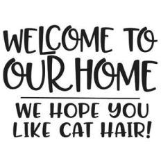 welcome to our home we hope you like cat hair!