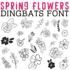cg spring flowers dingbats