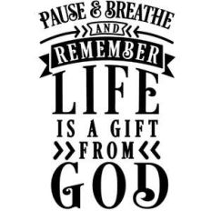pause life gift from god