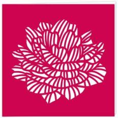 fresh rose flower card