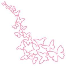 butterflies