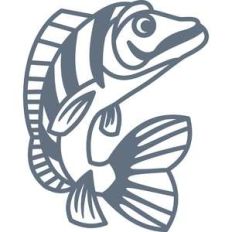 striped fish