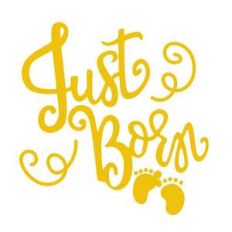 just born phrase