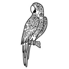 macaw parrot tropical floral mandala