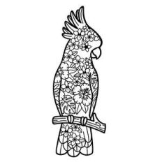 cockatoo parrot tropical floral mandala