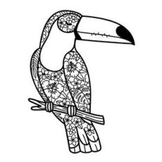 toucan tropical flowers mandala