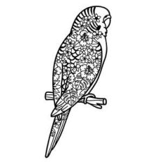 budgie bird tropical flowers mandala
