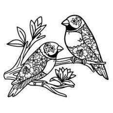 rainbow finches tropical flowers mandala