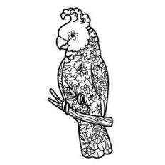 cockatoo bird tropical flowers mandala design