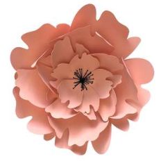 peony