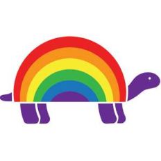 rainbow turtle shell