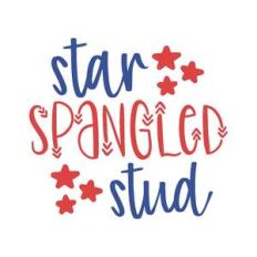 star spangled stud