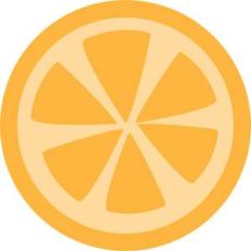 orange slice