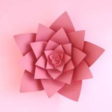dahlia