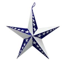 3d blue and white star w/stars