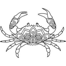 crab mandala
