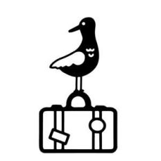 seagull on a suitcase