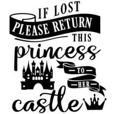 return lost princess to castle