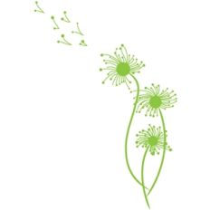 dandelions