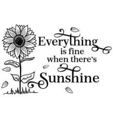everything is fine when there's sunshine