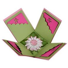 floral explosion box