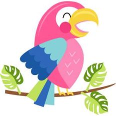 parrot