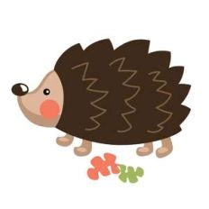 hedgehog