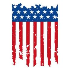 vertical distressed flag