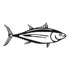 tuna fish
